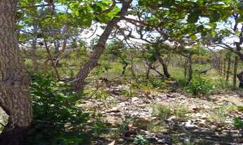 Imagem 4: Linda chácara de 1.000 metros,Baldim (Temos varias opções)