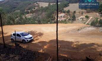 Imagem 4: Área à venda, 10000 m² por R$ 115.000,00 - Pitangueiras do Meio - Pedra Bela/SP