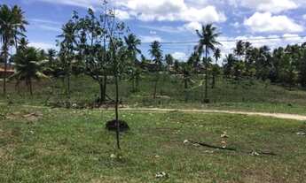 Imagem 2: Vendo excelente Área no município de Goiana / PE