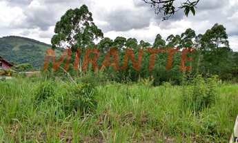 Imagem 5: Em Serra Da Cantareira