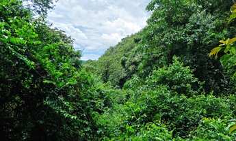 Imagem 5: Fazenda/Sítio/Chácara para venda tem 121 metros quadrados com 3 quartos