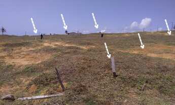 Imagem 6: MAXARANGUAPE - Terreno Padrão - Cabo de São Roque