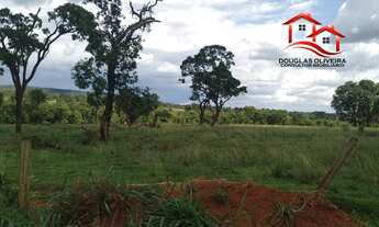 Imagem 7: Fazenda 295,24 Hectares Região De Campina Verde/MG