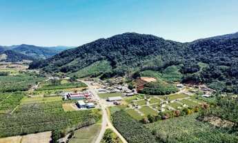 Imagem 3: Vila das Palmeiras Loteamento em Luiz Alves - SC / Terra da Cachaça