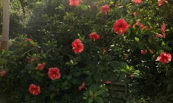 Imagem 2: Casa para venda tem 150 metros quadrados com 3 quartos em Engenhoca - Niterói - RJ