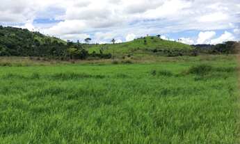 Imagem 4: FAZENDA VALE DO BOI APTDÃO PECUARIA