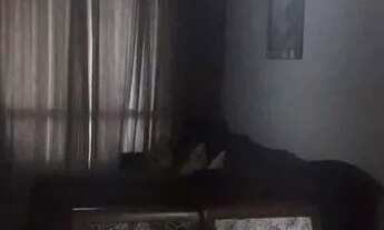 Imagem 2: APARTAMENTO - JARDIM AVELINO - SP