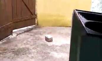 Imagem 4: Kitnet para alugar