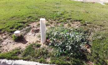 Imagem 6: Terreno - Jardim Myrian Moreira da Costa - Campinas