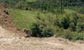 Imagem 6: Igaratá lotes a venda com vista para represa