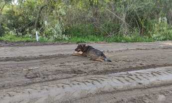 Imagem 5: Terreno Sertão Guapimirim - Magé