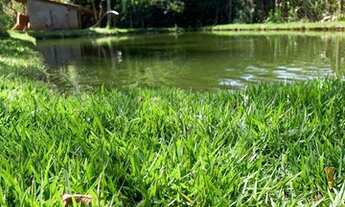 Imagem 4: Excelente chácara com 02 casa e 06 quartos, em Bonfinópolis - GO