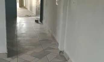 Imagem 5: Quitinete 800 Quarto com aluguel por R$800 /mês