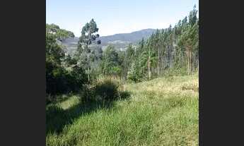 Imagem 2: Sitio em Aratingauba