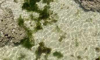 Imagem 6: Casa para venda ou aluguel fds