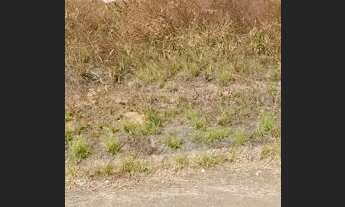 Imagem: Vendo ou troco