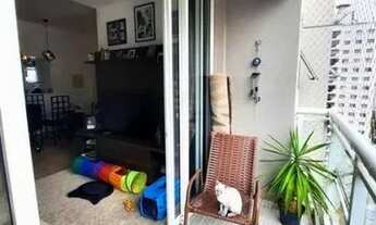 Imagem 5: APARTAMENTO - PERDIZES - SP