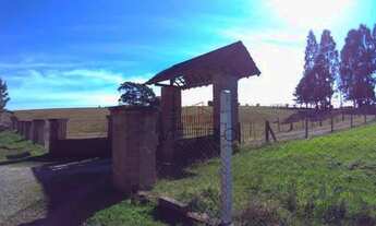 Imagem 6: Sítio no Rancho Jane em Canela!