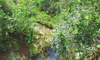 Imagem 6: Fazenda à venda, 3 quartos, Área Rural de Uberlândia - Uberlândia/MG