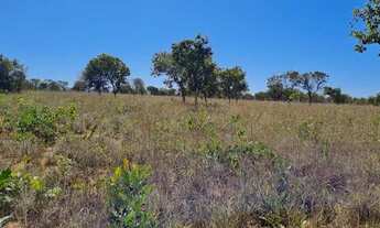 Imagem 7: Fazenda de 519 hectares, toda no arame liso e plana com Rio Perene - Alto Paraíso de Goiás