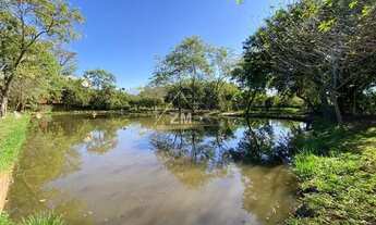 Imagem 3: Sítio - Nova Aparecida - Campinas