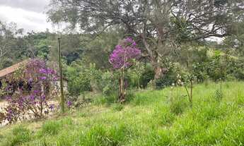 Imagem 4: Alugo sítio moradia