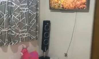 Imagem 2: Casa venda Casa com 1 dormitório