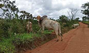 Imagem 4: Chácara em itatiaiuçu