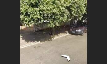 Imagem 2: Casa no bosque em matao (2 casas