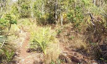 Imagem 7: . Uma Fazenda 148 alqueires 28 km de Santa Teresa TO