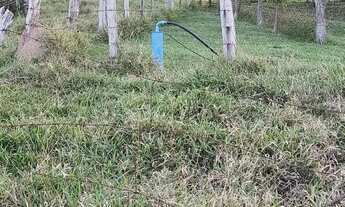 Imagem 2: Sítio para Venda em Saltinho, Jardim Torrezan, 3 dormitórios, 1 suíte, 1 banheiro, 1 vaga