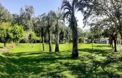 Imagem 6: Terreno em Restinga