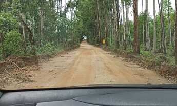 Imagem 3: Chácara em itatiaiuçu