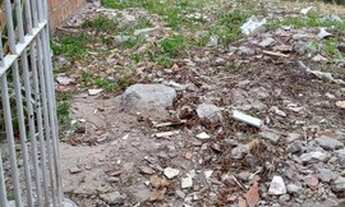 Imagem 5: Terreno em Dom Helder