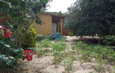 Imagem 4: Terreno com casa