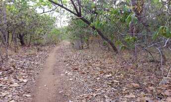 Imagem 2: . Uma Fazenda 148 alqueires 28 km de Santa Teresa TO