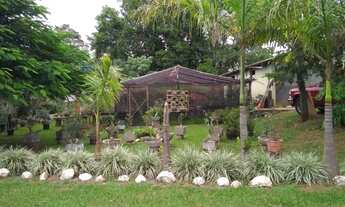 Imagem 7: São Paulo fazenda/Sítio 05 alqueires a 3 kilometros da cidade de Pérola no Paraná ótima lo