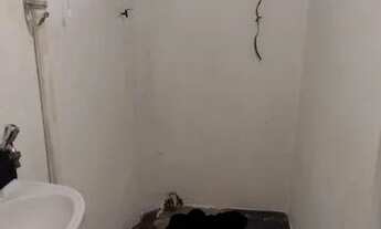 Imagem 3: Casa para aluguel possui 22 metros quadrados com 1 quarto em Chácara Inglesa - São Paulo