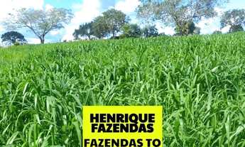 Imagem 4: Fazenda em Goianorte dupla aptidão no Tocantins