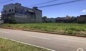 Imagem 2: Terreno para alugar em Aparecida de Goiânia/GO
