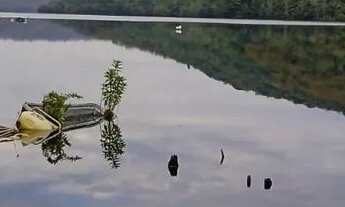 Imagem 7: Terrenos Urbanos e em Chácara