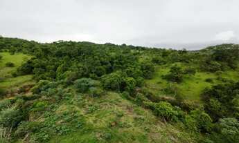Imagem 3: Fazenda à Venda - Oportunidade Rara!