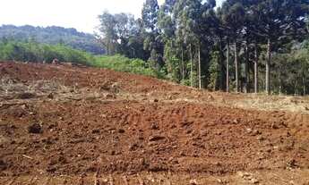 Imagem 4: Lote em RUA MIGUEL TISSOT - Várzea Grande - Gramado/RS