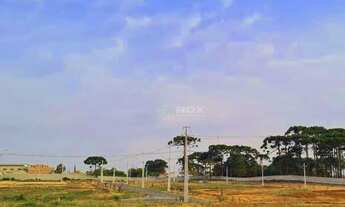 Imagem 3: Terreno à venda, 245 m² por R$ 238.000,00 - Costeira - São José dos Pinhais/PR