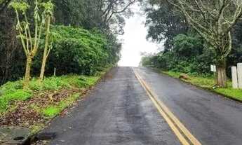Imagem 5: Terreno para Venda em Nova Petrópolis, Centro