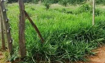 Imagem 2: Terreno chácara sitio 2 mil metros