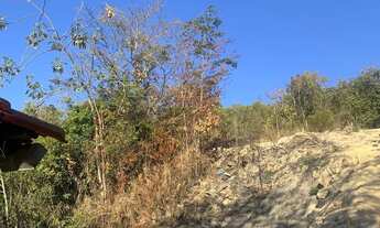 Imagem 6: Vende-se chácara