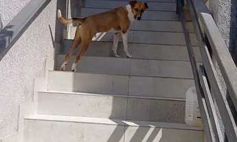 Imagem 6: Vendo casa 3 dorms, sendo 1 suite e 2 vagas coberta. Portal dos Ipes - Cajamar/SP