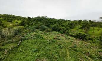 Imagem 5: Fazenda à Venda - Oportunidade Rara!