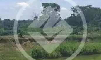 Imagem: FAZENDA COM ESTRUTURA PARA PISCICULTURA